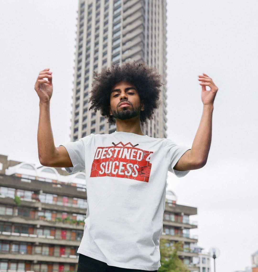 Destined 4 Success - Faithacle